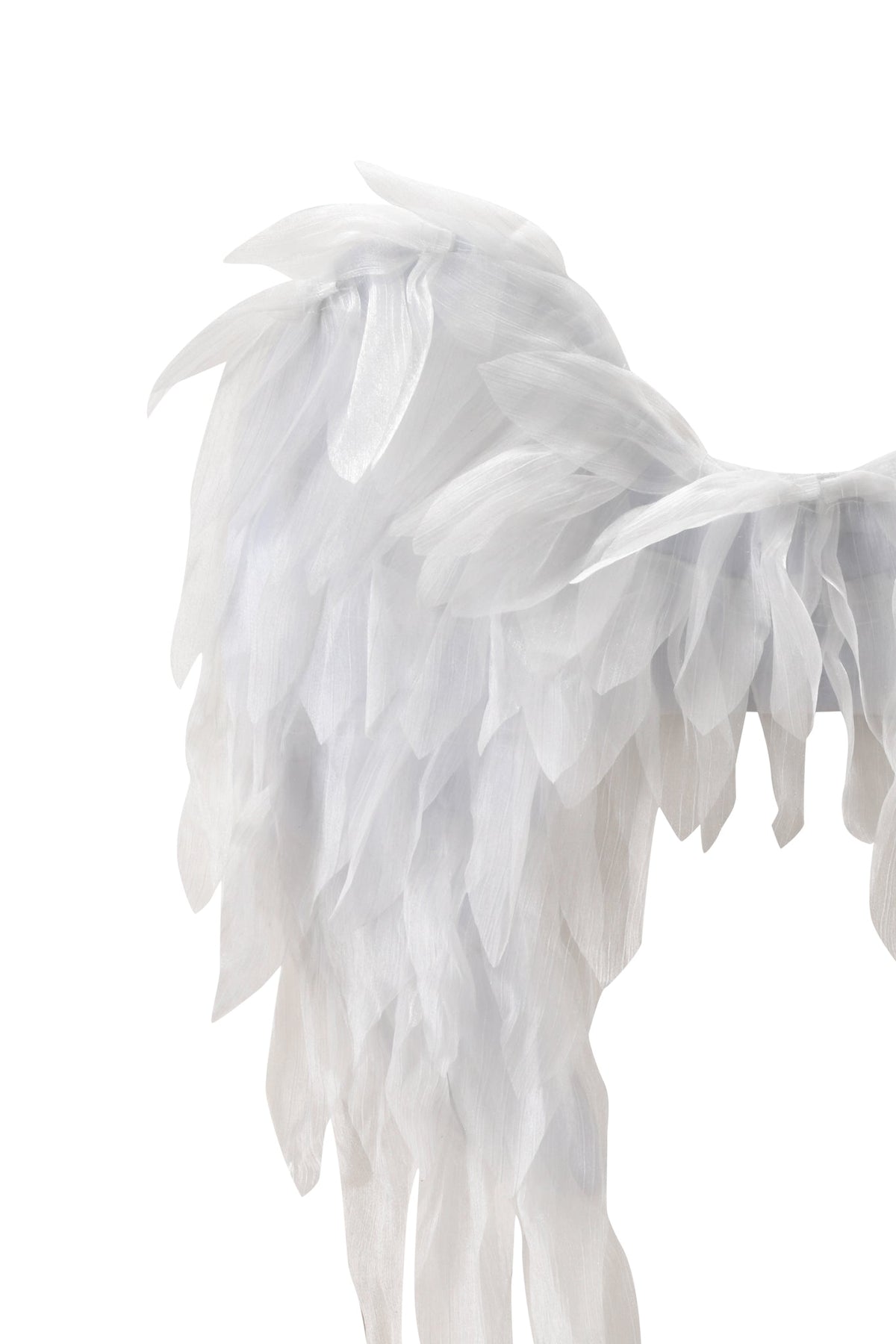 ANGEL WINGS - WHITE