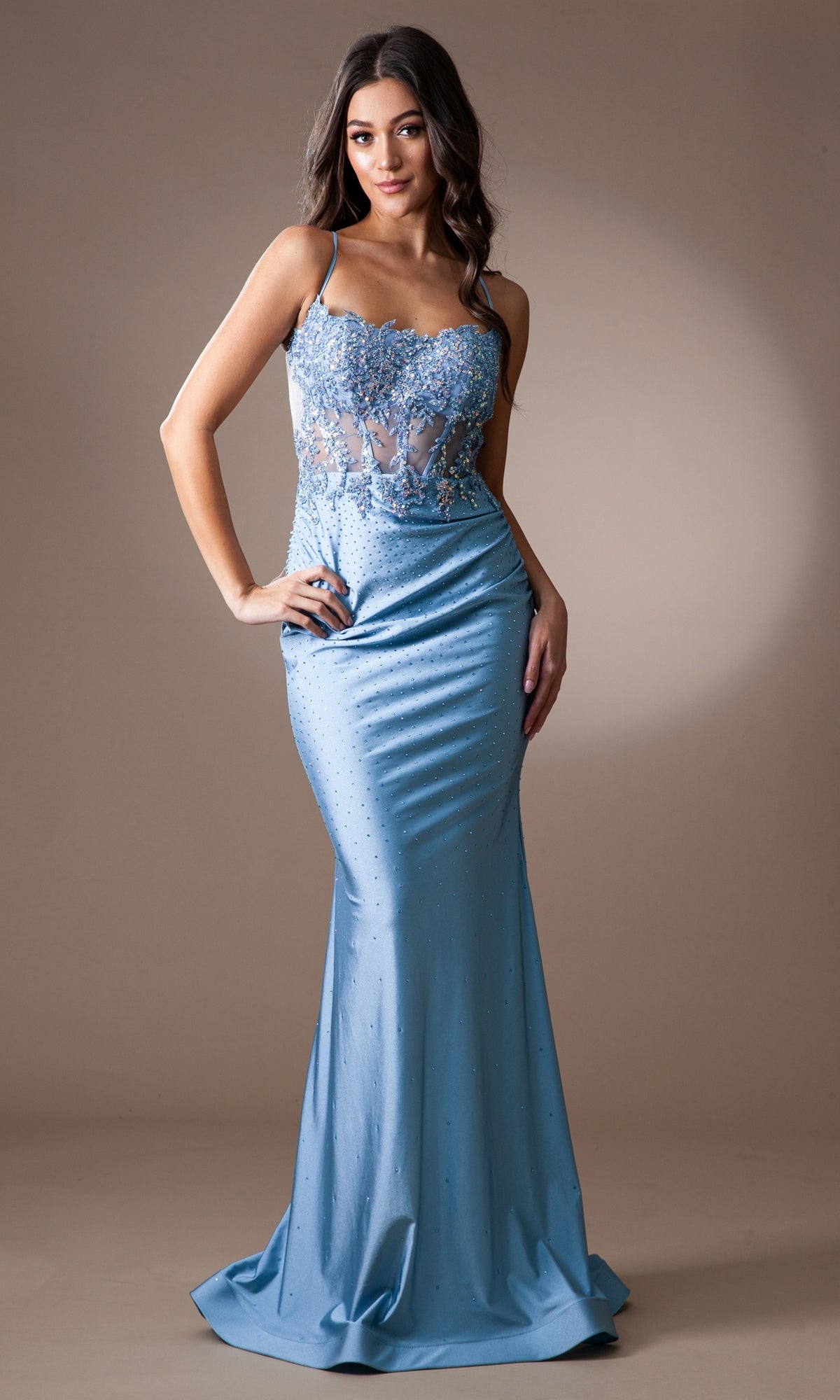 Amelia Backless Long Embellished Prom Dress TM1018