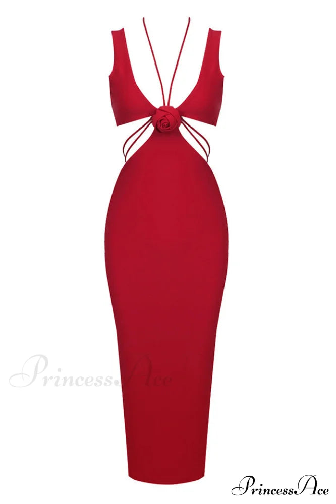 Alize Flower Stylish Embellished Maxi Dress