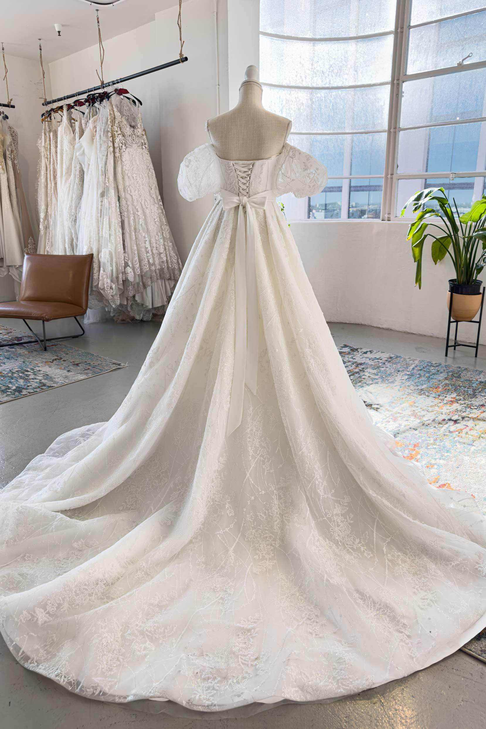 A-Line Chapel Train  Lace Tulle Wedding Dress CW2986