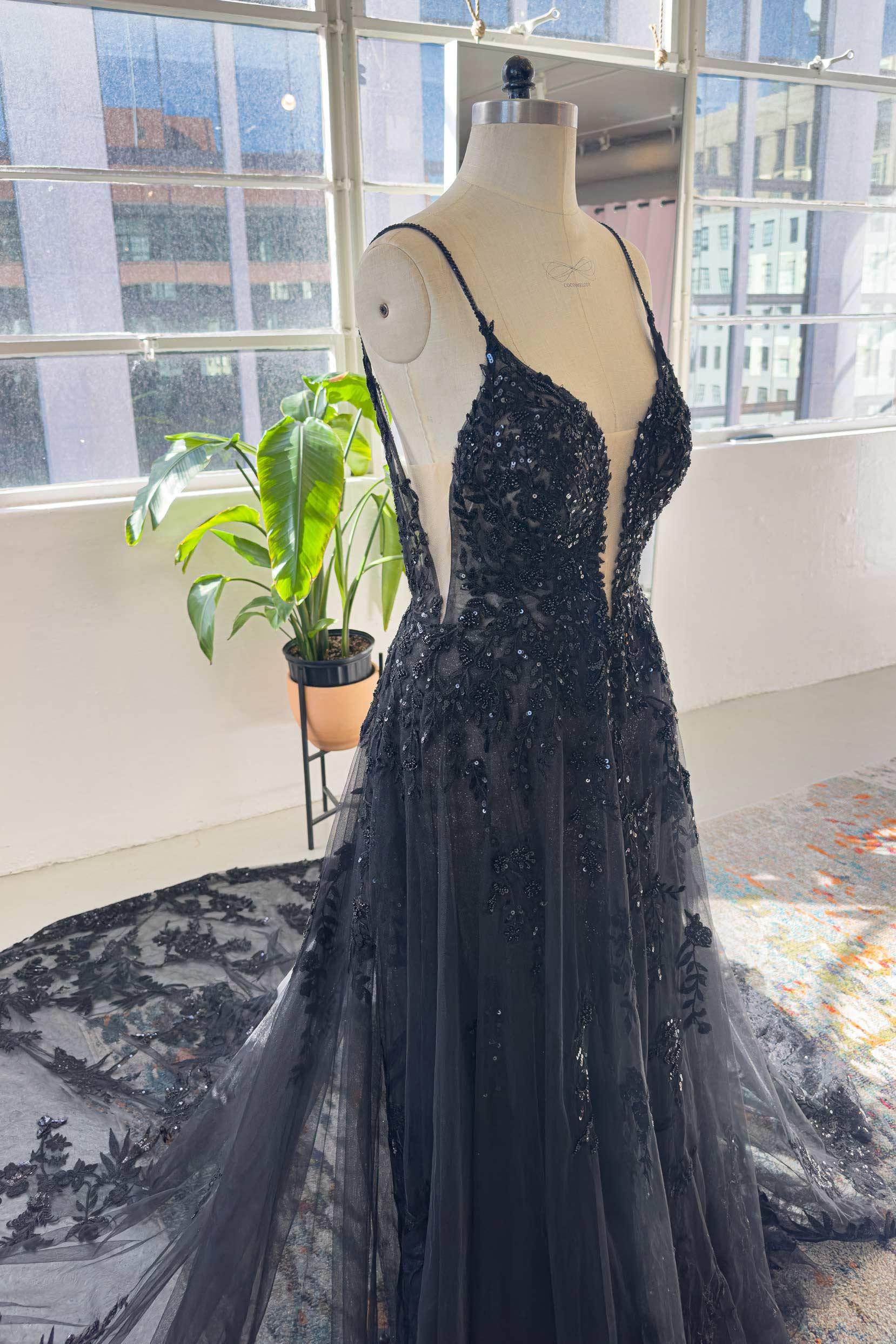 A-Line Cathedral Train Lace Tulle Wedding Dress CW3006