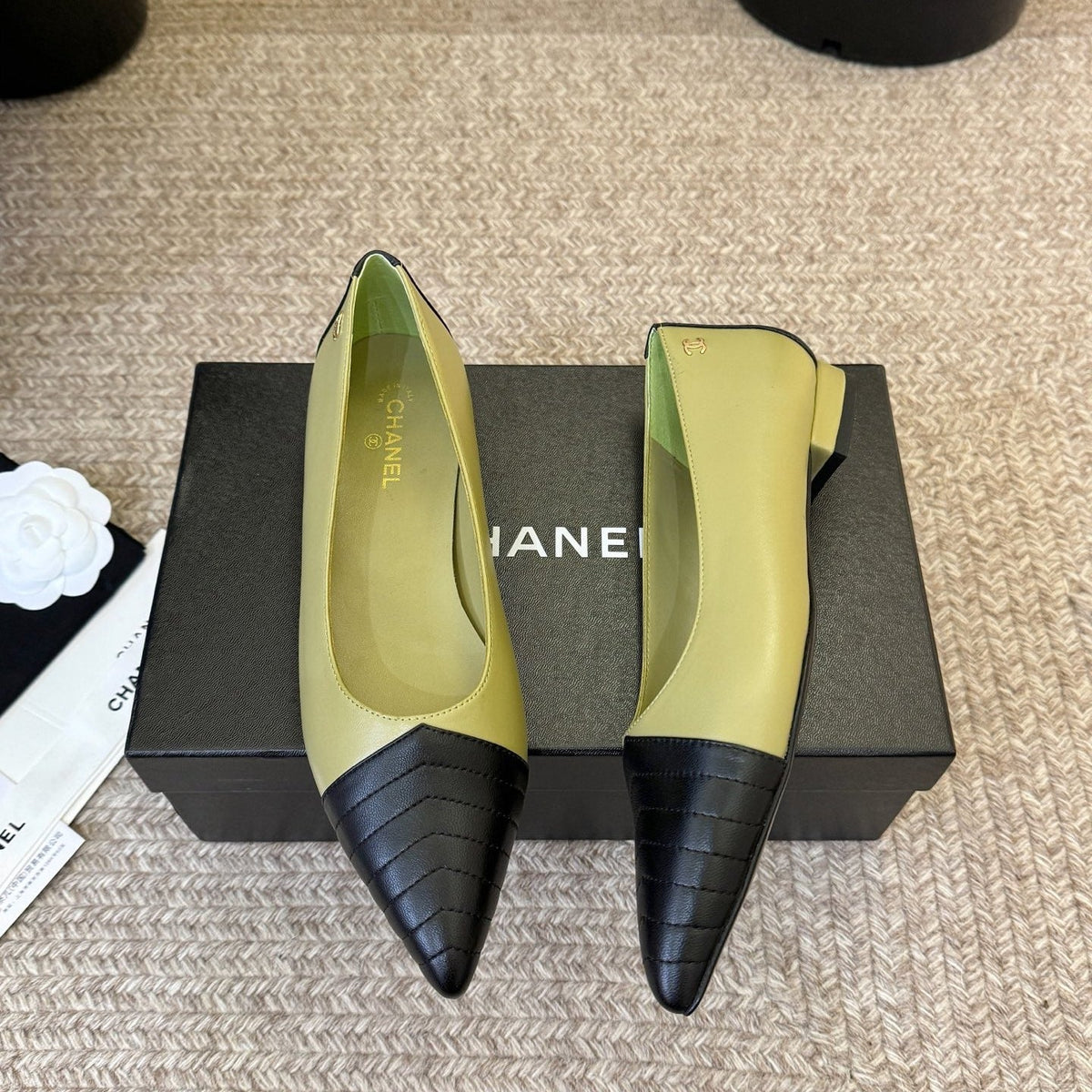 CC 26ss Ballet Flat Black Olive Lambskin 835694