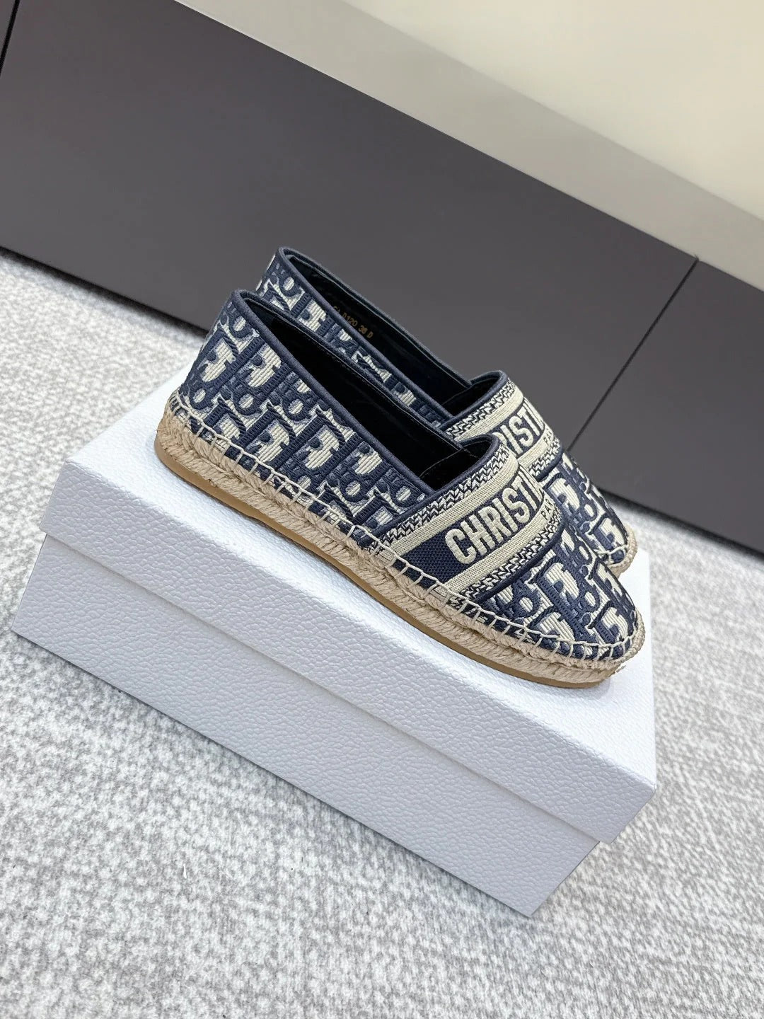 CD 26s Loafers Embroidery Navy Blue Canvas 653273