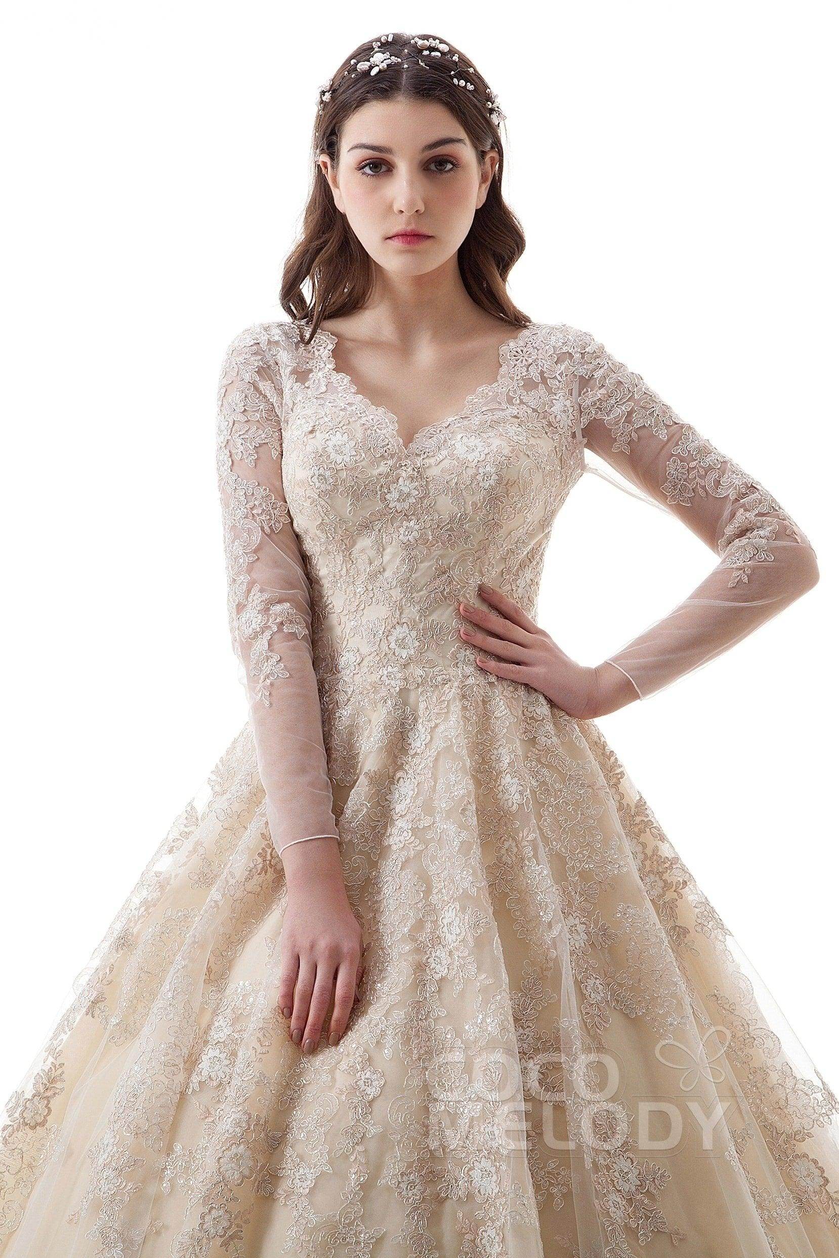 Princess Court Train Lace Tulle Gothic Wedding Dress LD4622