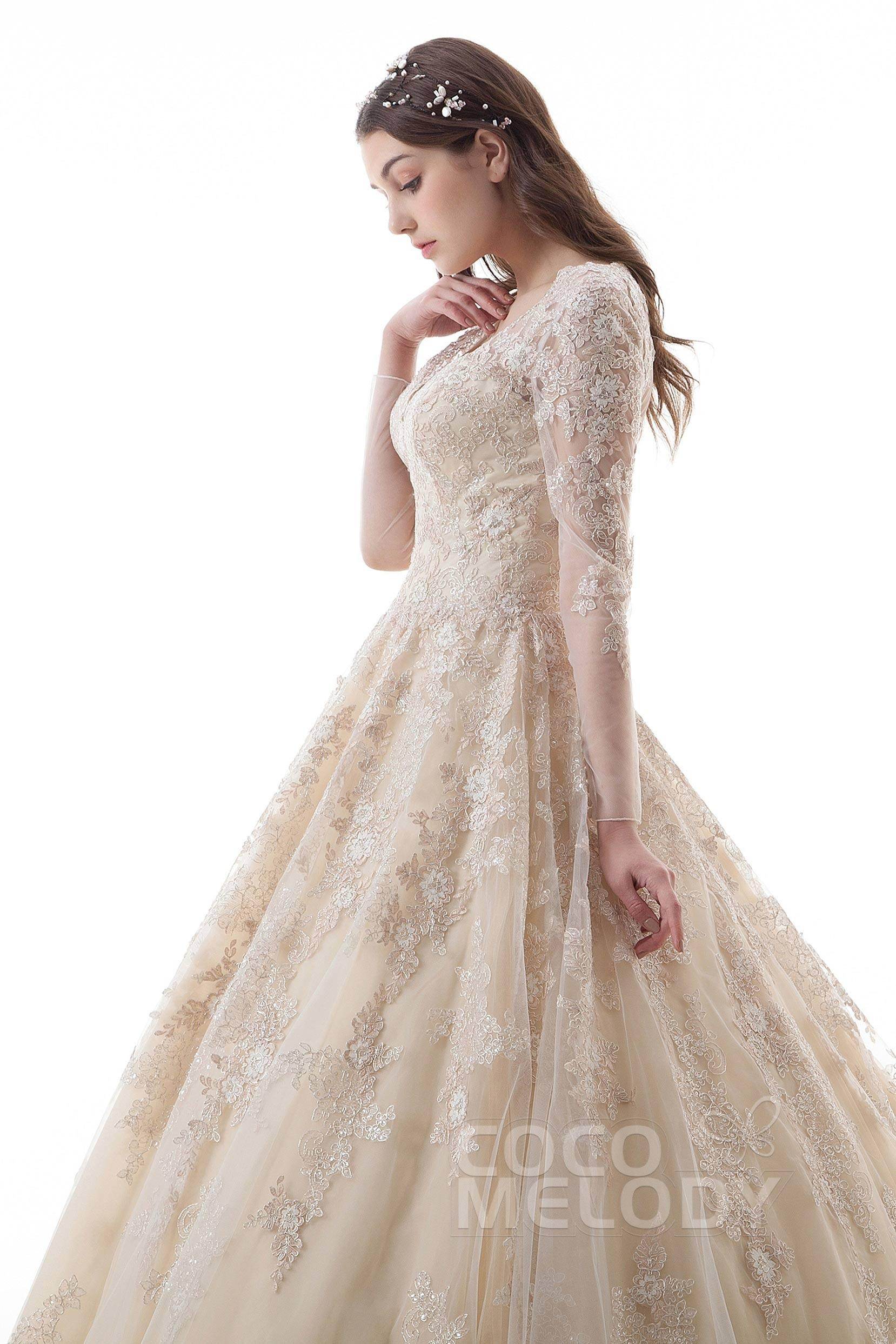 Princess Court Train Lace Tulle Gothic Wedding Dress LD4622